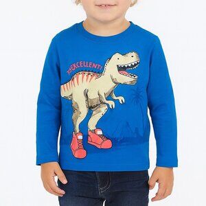 Long Sleeve Tee Dinosaur Graphic Kids Shirt Youth Size 4